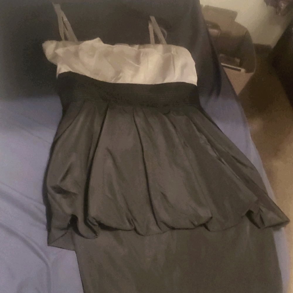 Freeway dress (New with tags)